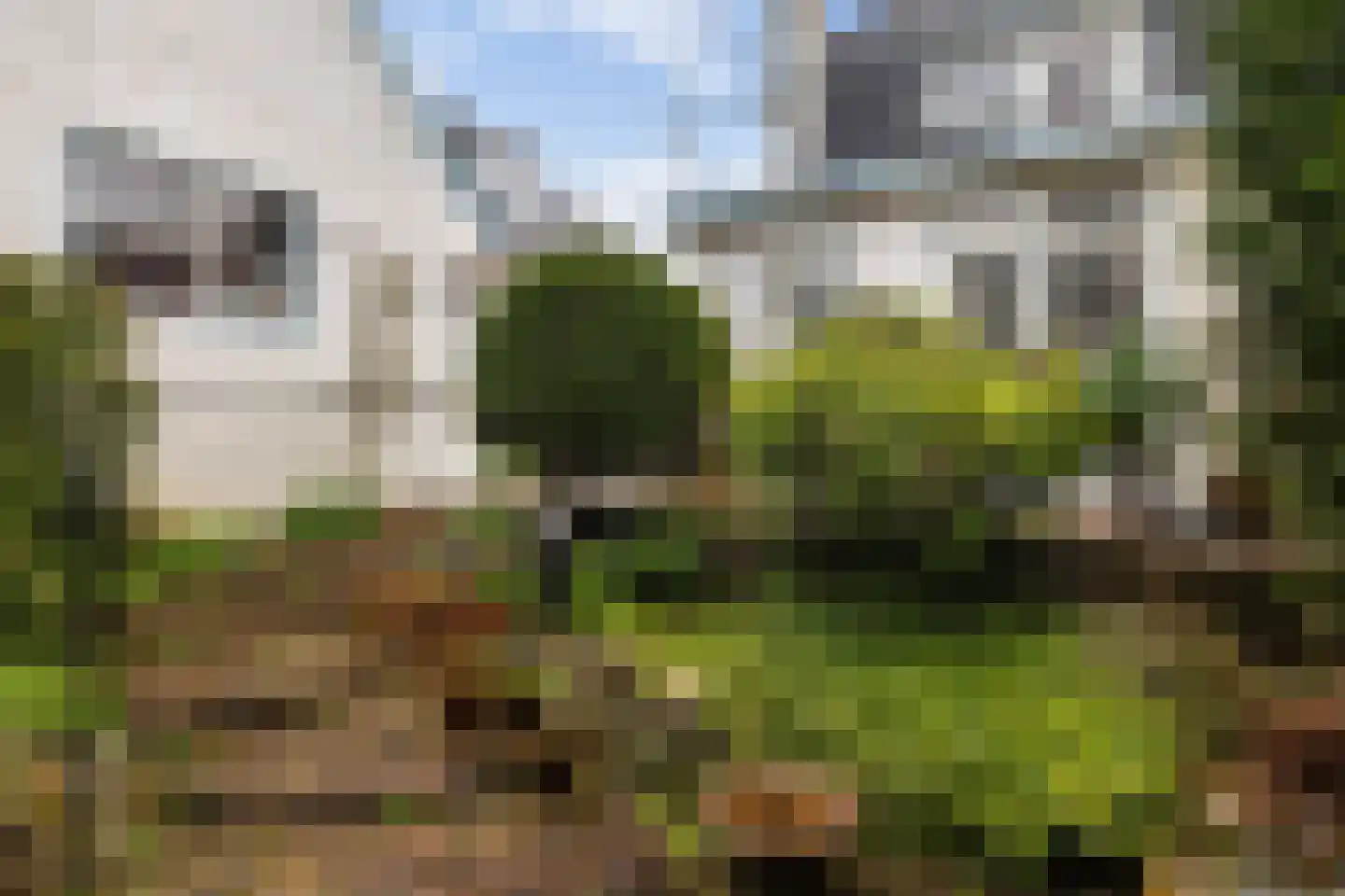 Paltzerweg 77 Bilthoven thumbnail 23