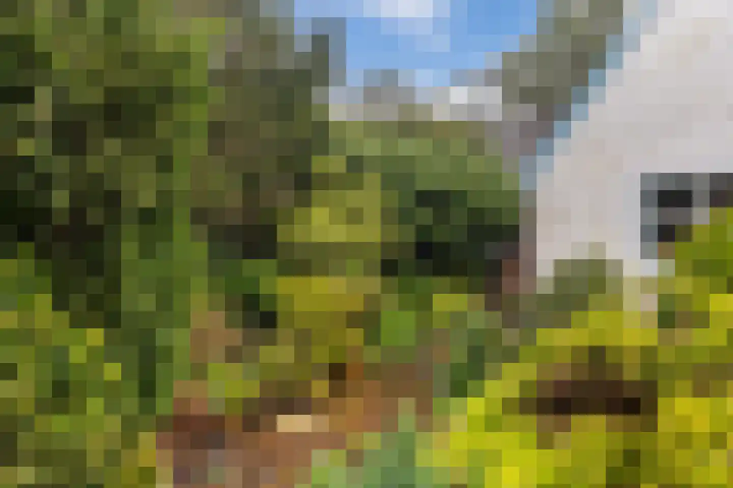 Paltzerweg 77 Bilthoven thumbnail 25