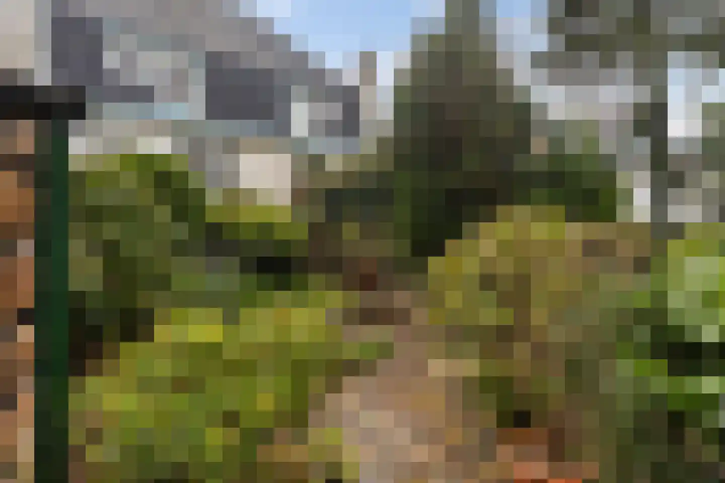 Paltzerweg 77 Bilthoven thumbnail 26