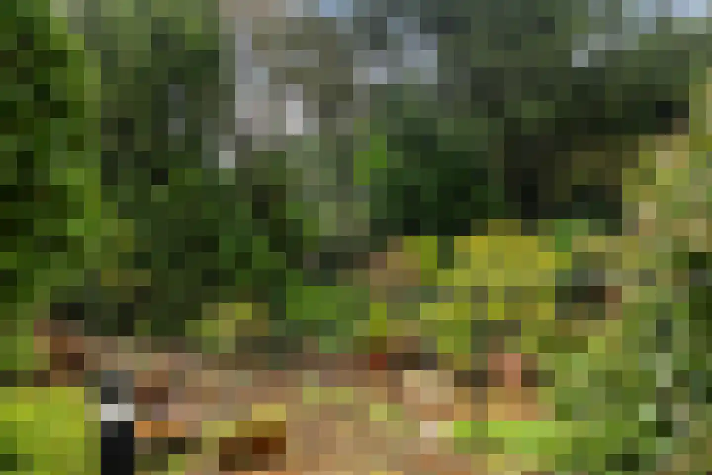 Paltzerweg 77 Bilthoven thumbnail 27