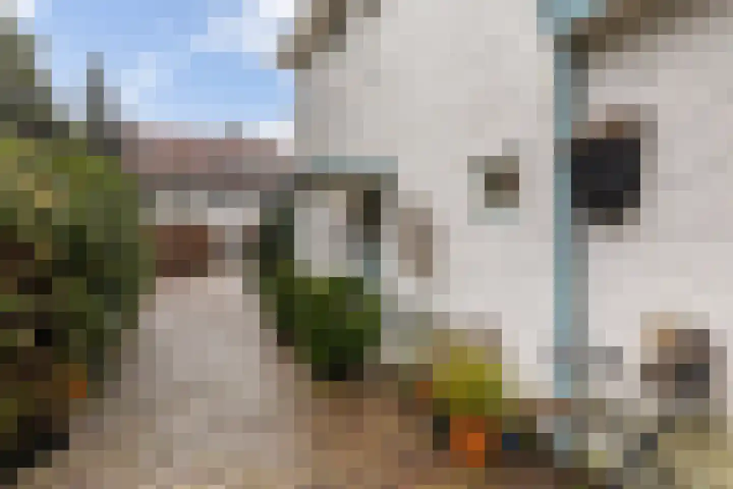 Paltzerweg 77 Bilthoven thumbnail 28