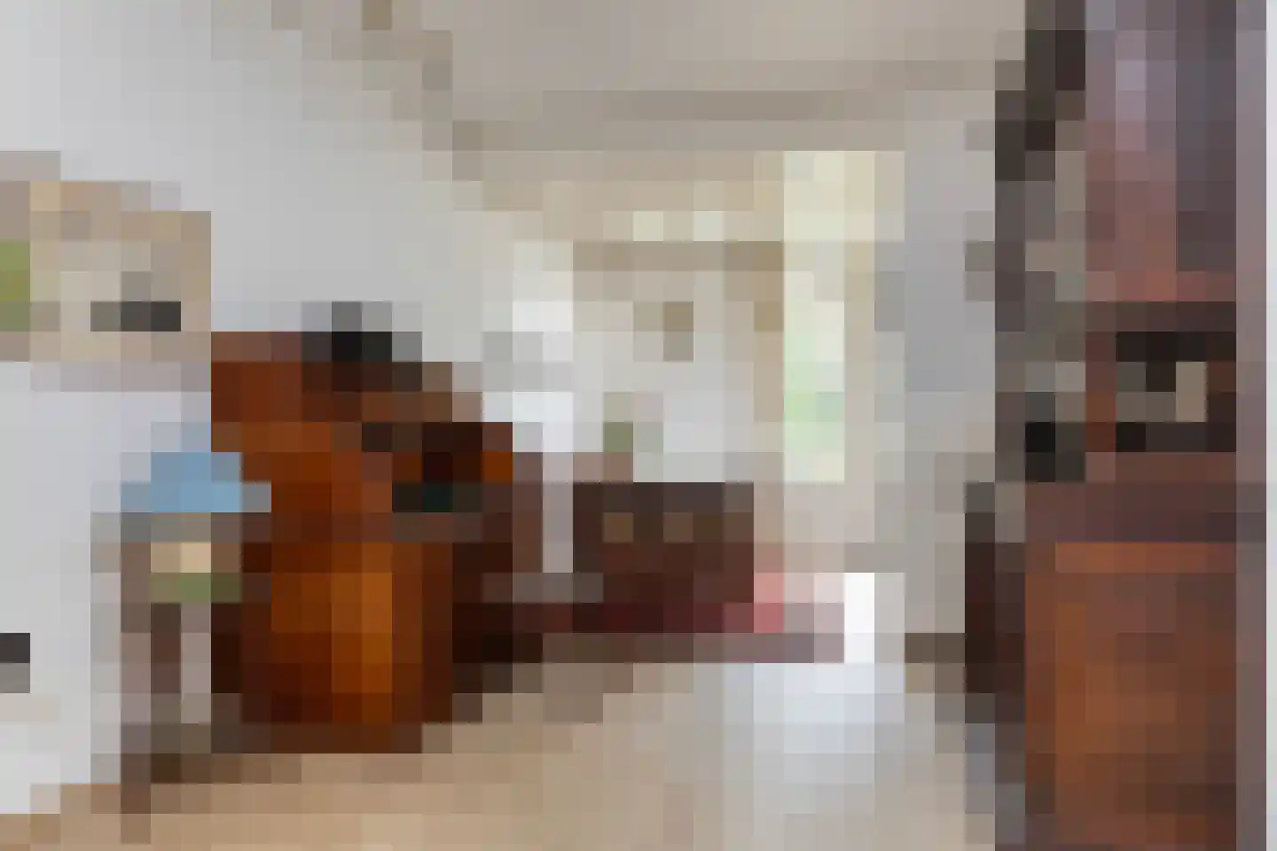 Paltzerweg 77 Bilthoven thumbnail 8