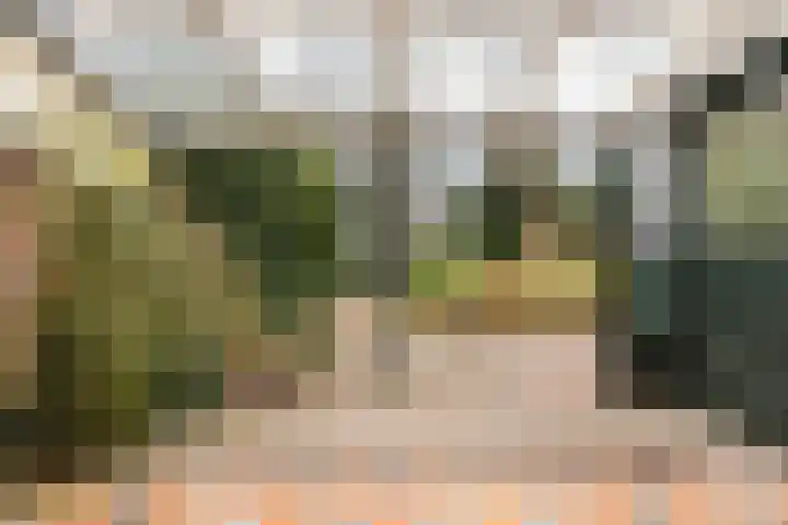 Paltzerweg 8 Bilthoven thumbnail 18