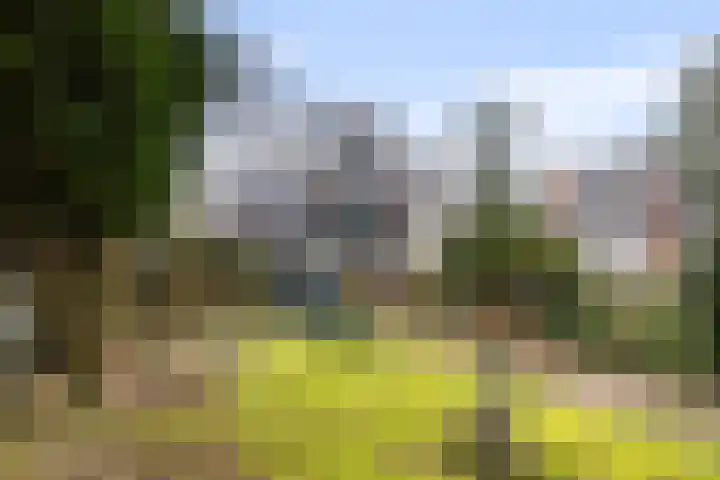 Paltzerweg 8 Bilthoven thumbnail 19