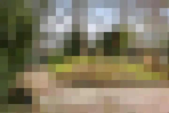 Paltzerweg 8 Bilthoven thumbnail 21
