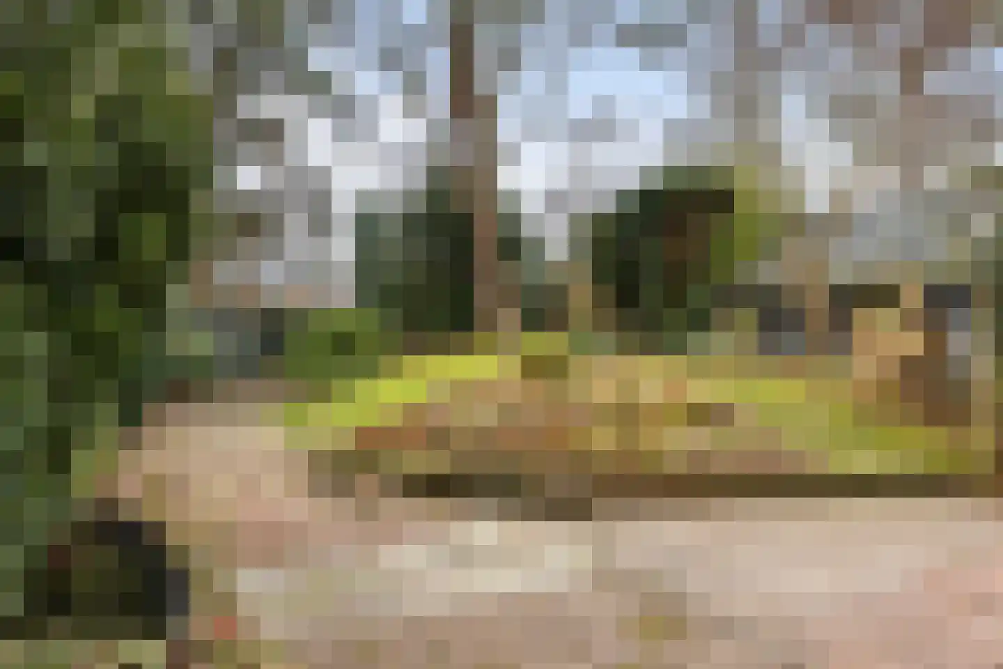 Paltzerweg 8 Bilthoven thumbnail 21