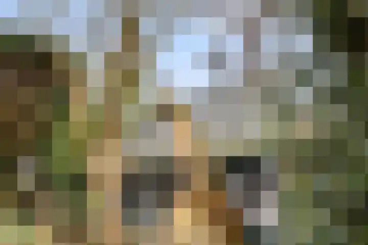 Paltzerweg 8 Bilthoven thumbnail 22
