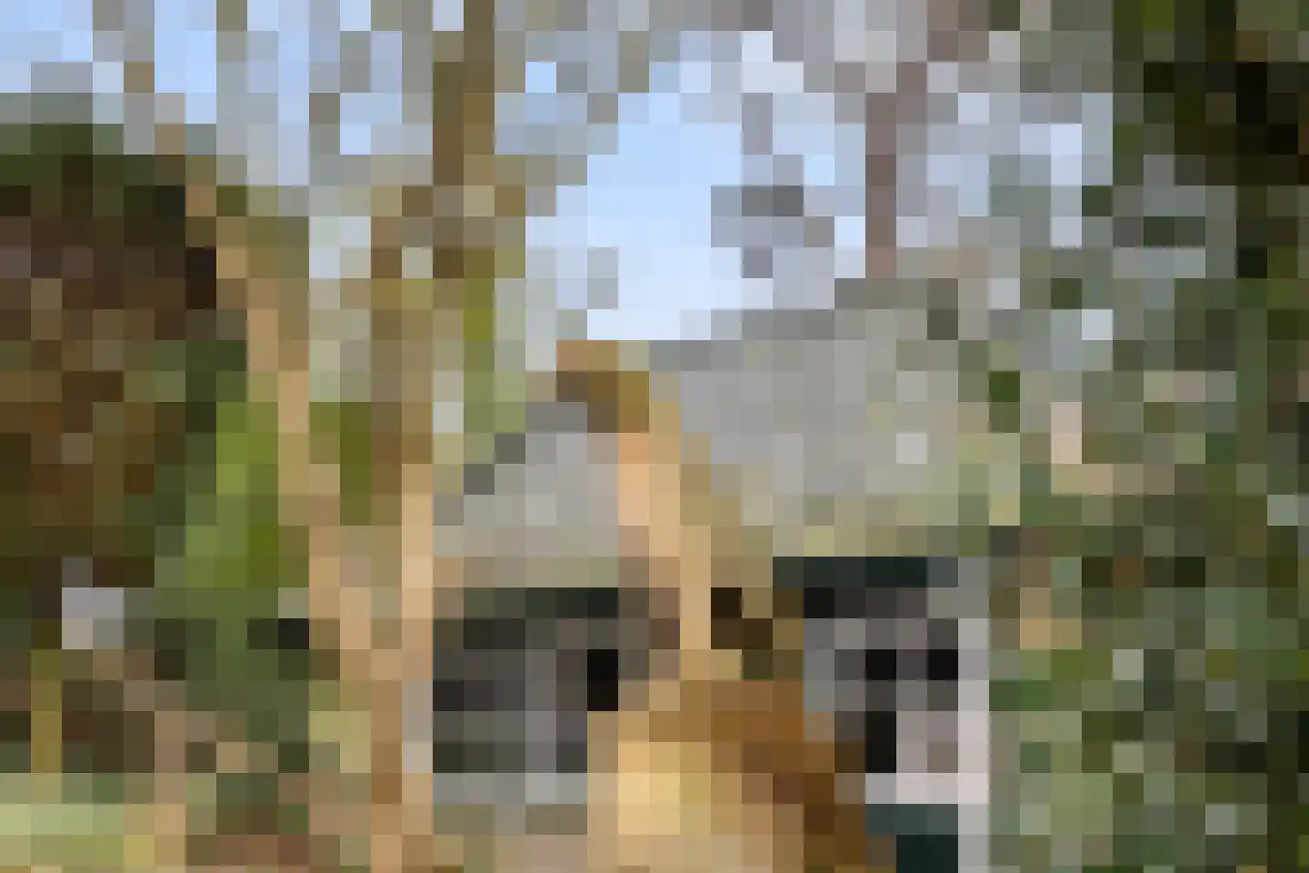 Paltzerweg 8 Bilthoven thumbnail 22