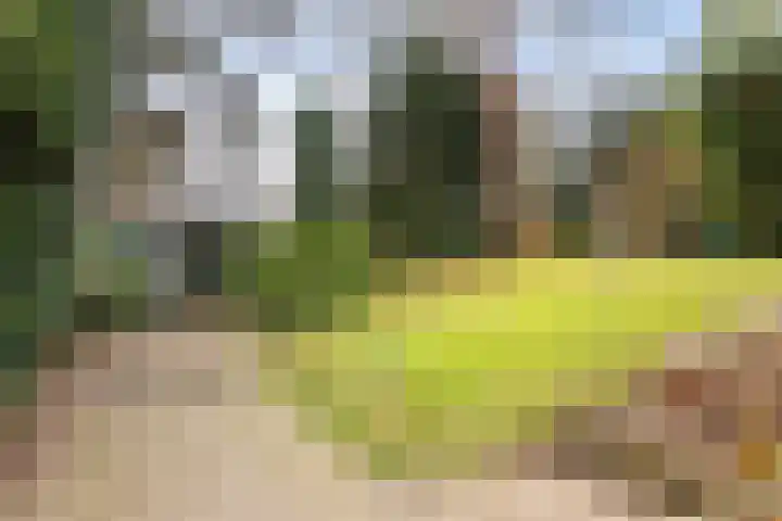 Paltzerweg 8 Bilthoven thumbnail 23