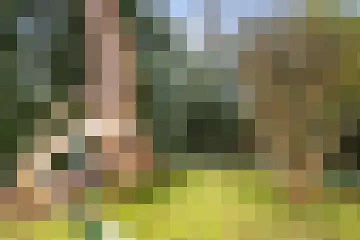 Paltzerweg 8 Bilthoven thumbnail 24