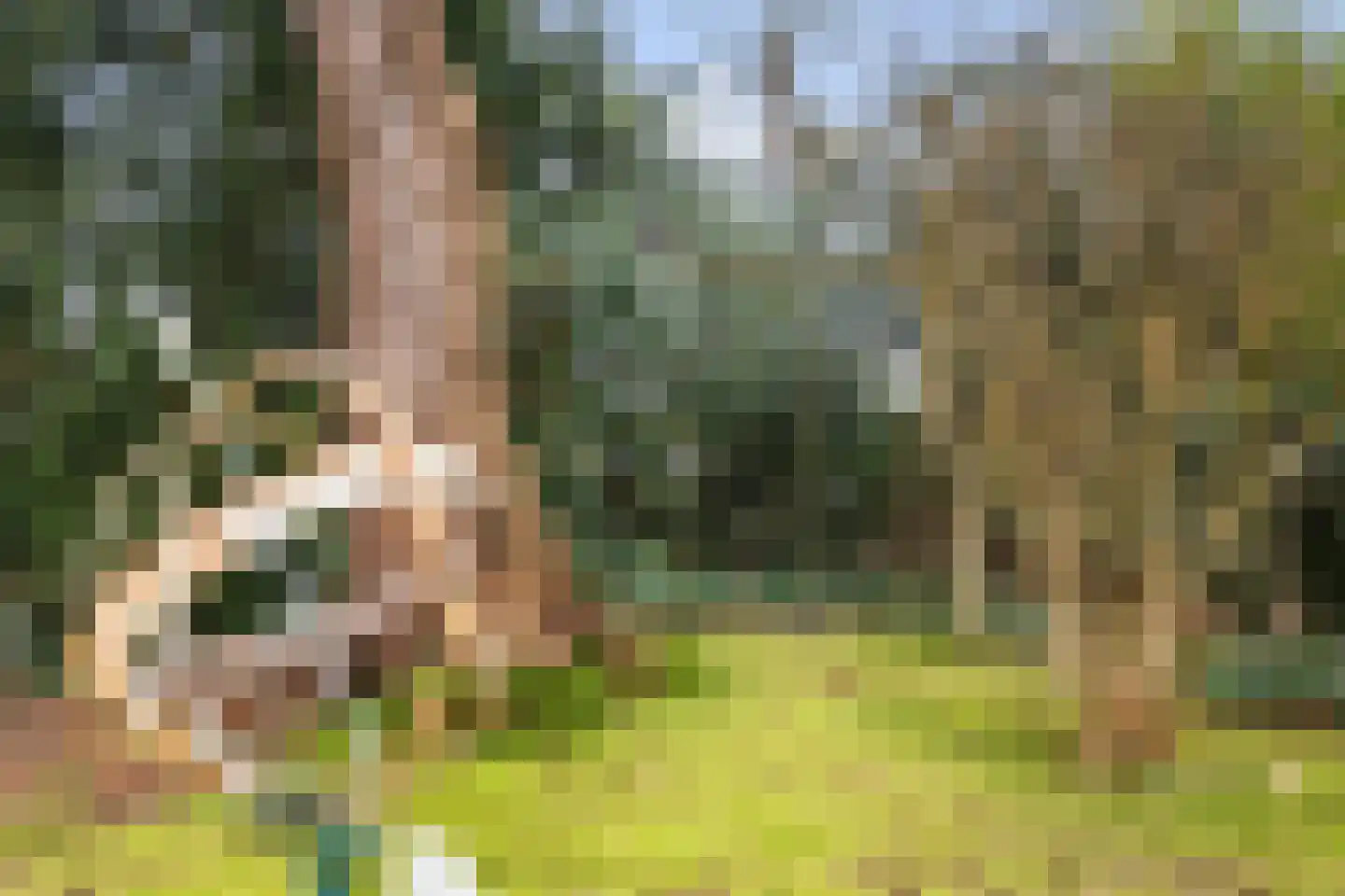 Paltzerweg 8 Bilthoven thumbnail 24