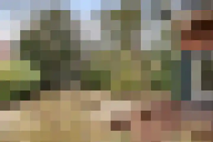 Paltzerweg 8 Bilthoven thumbnail 25