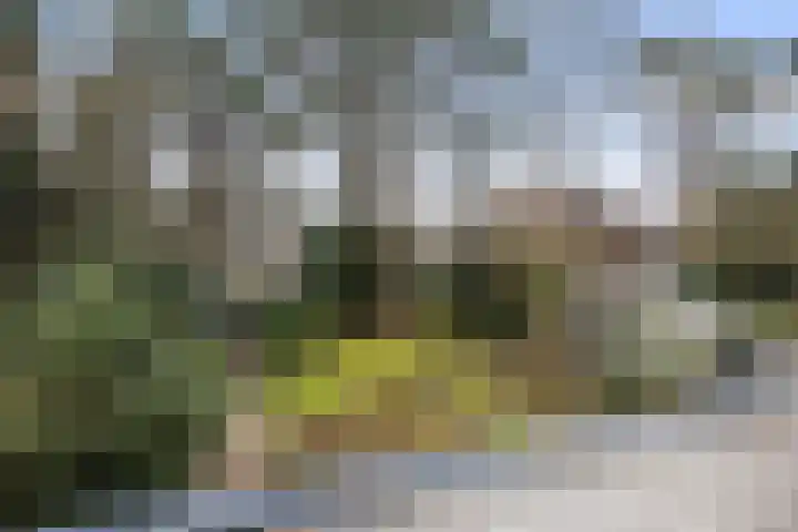 Paltzerweg 8 Bilthoven thumbnail 26