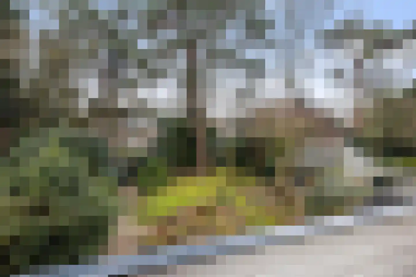 Paltzerweg 8 Bilthoven thumbnail 26