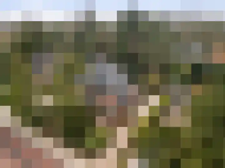 Paltzerweg 8 Bilthoven thumbnail 4