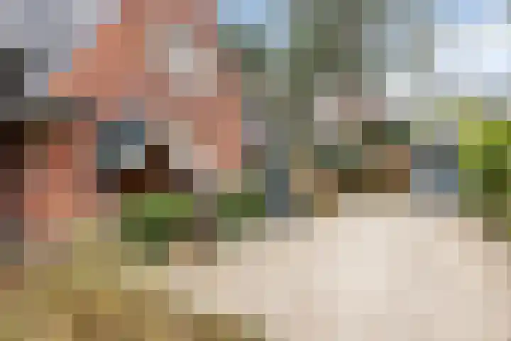 Paltzerweg 8 Bilthoven thumbnail 43