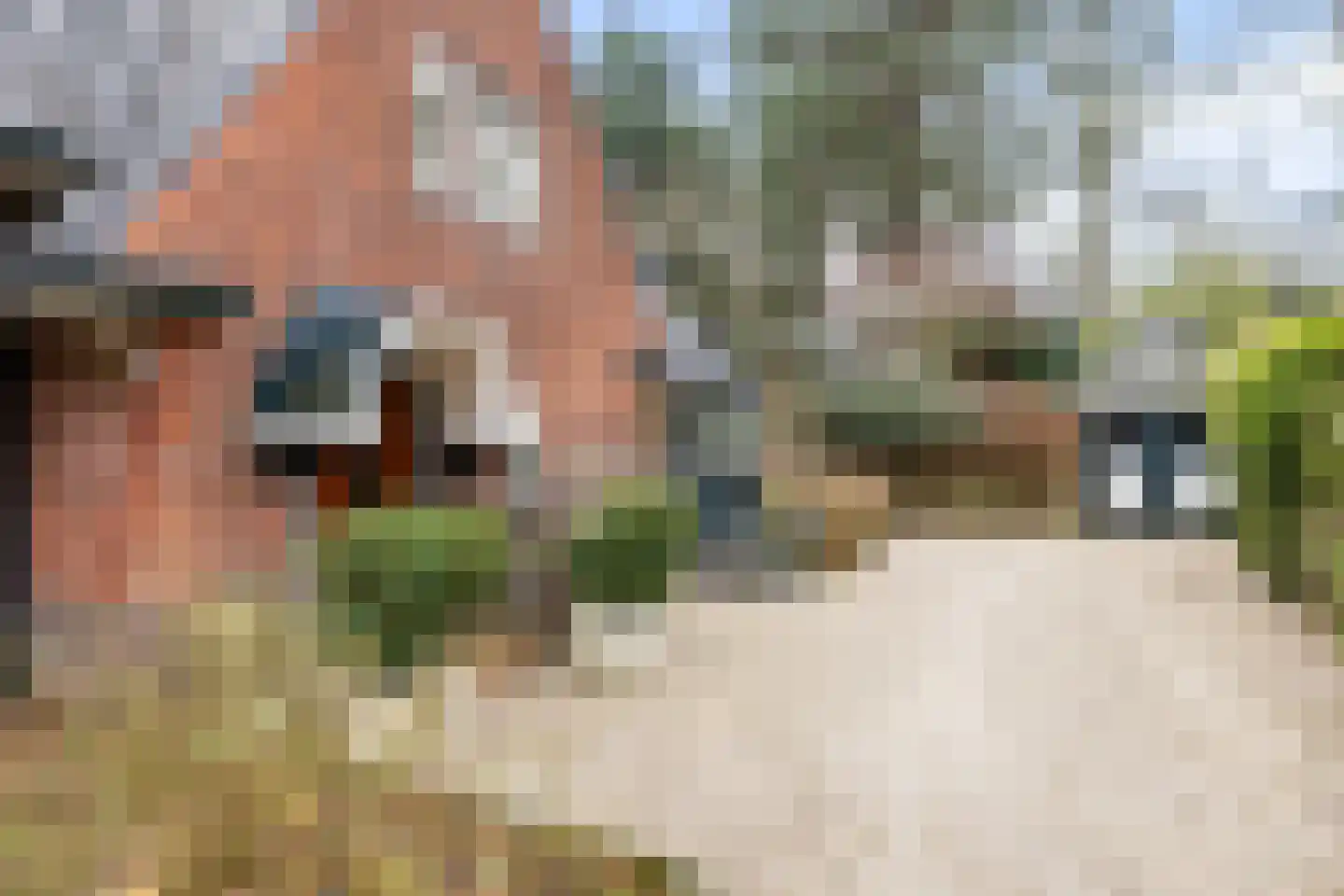 Paltzerweg 8 Bilthoven thumbnail 43
