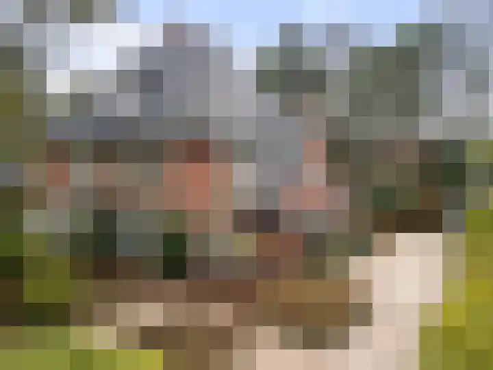 Paltzerweg 8 Bilthoven thumbnail 45