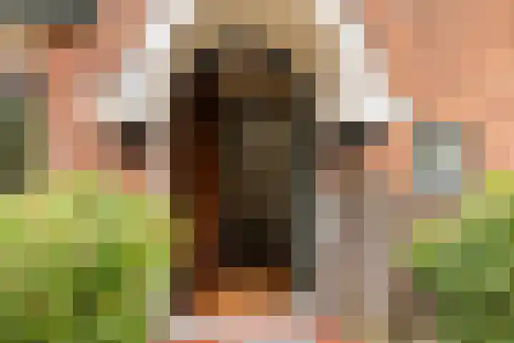 Paltzerweg 8 Bilthoven thumbnail 6