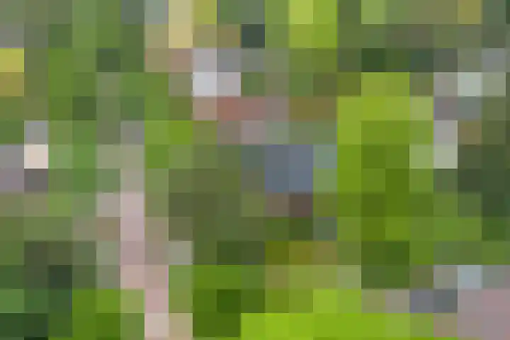 Paltzerweg 82 Bilthoven thumbnail 48