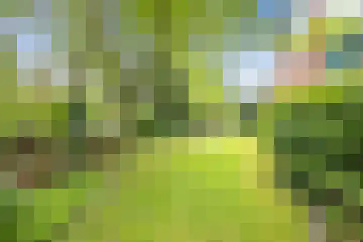 Paltzerweg 82 Bilthoven thumbnail 5