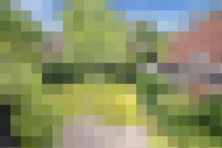 Paltzerweg 82 Bilthoven thumbnail 50