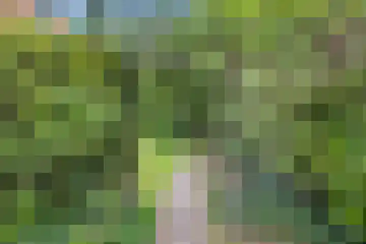 Paltzerweg 82 Bilthoven thumbnail 51