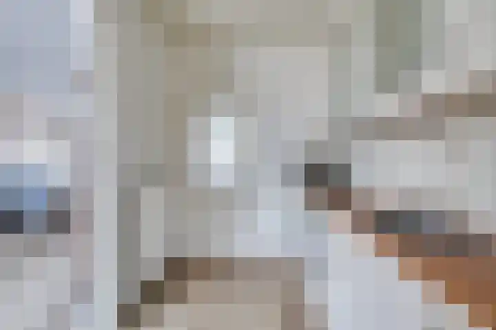 Paltzstraat 12 Ravenstein thumbnail 8