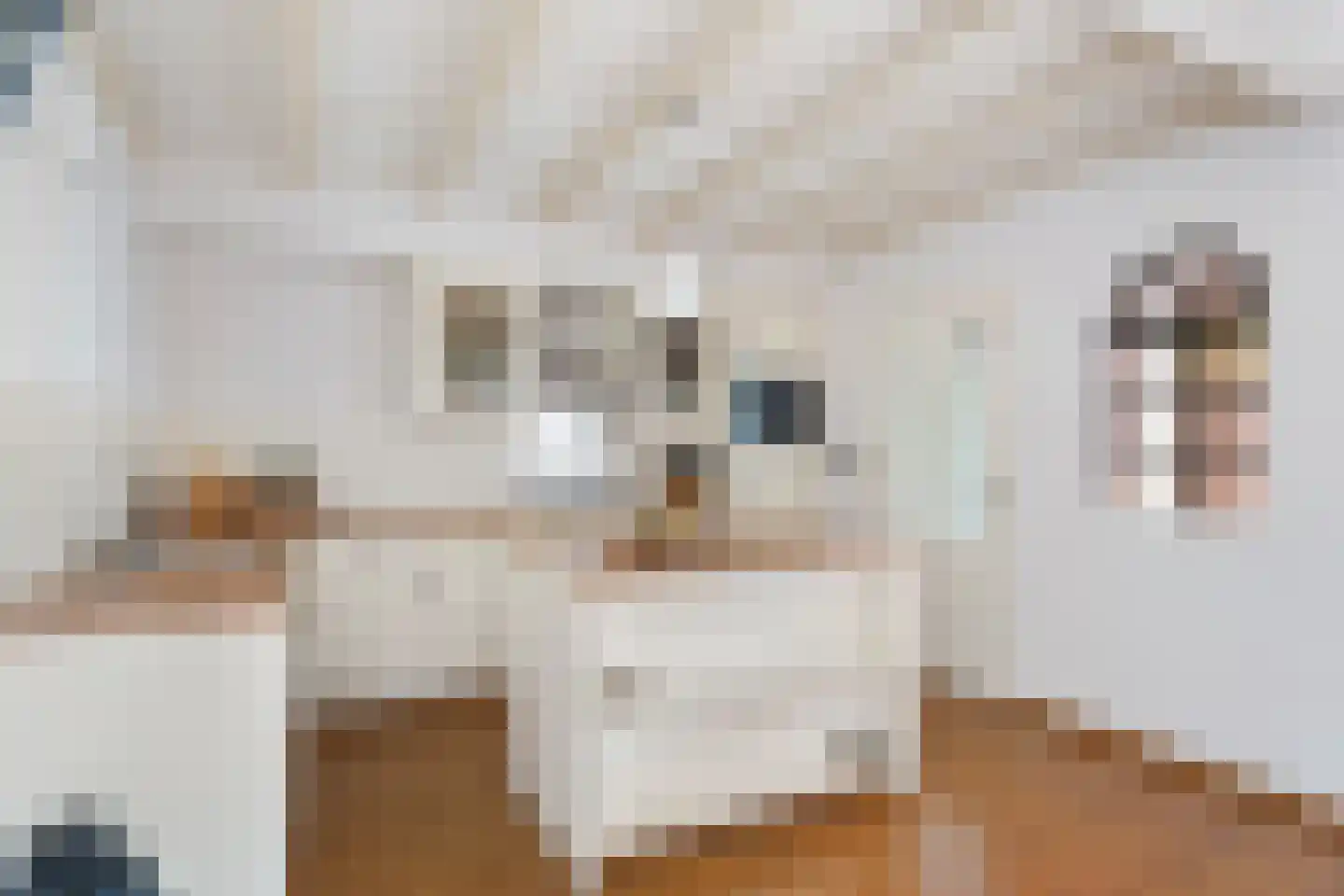 Paltzstraat 17 Ravenstein thumbnail 16