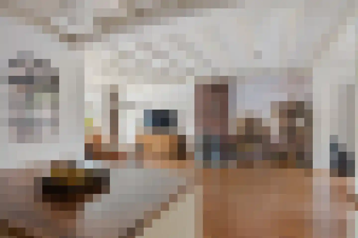 Paltzstraat 17 Ravenstein thumbnail 18