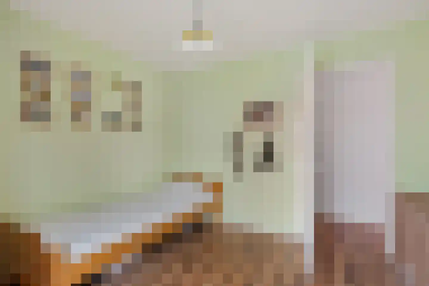 Paltzstraat 17 Ravenstein thumbnail 31