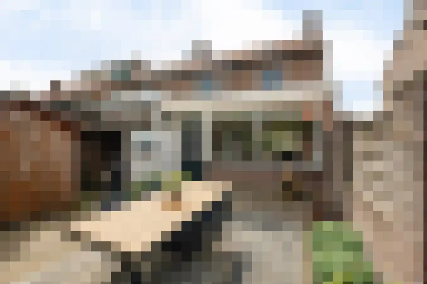 Paltzstraat 17 Ravenstein thumbnail 41
