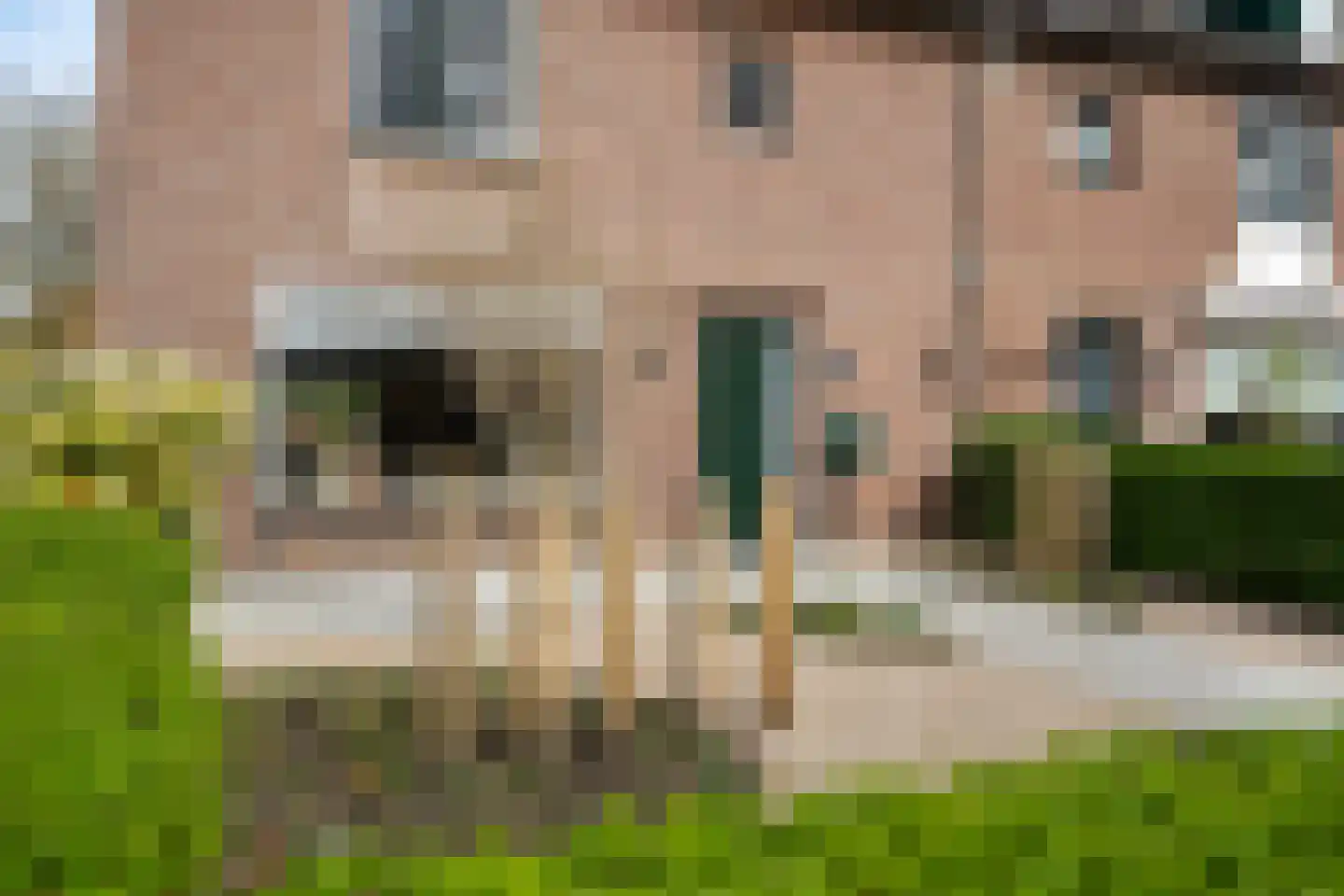Paltzstraat 17 Ravenstein thumbnail 6