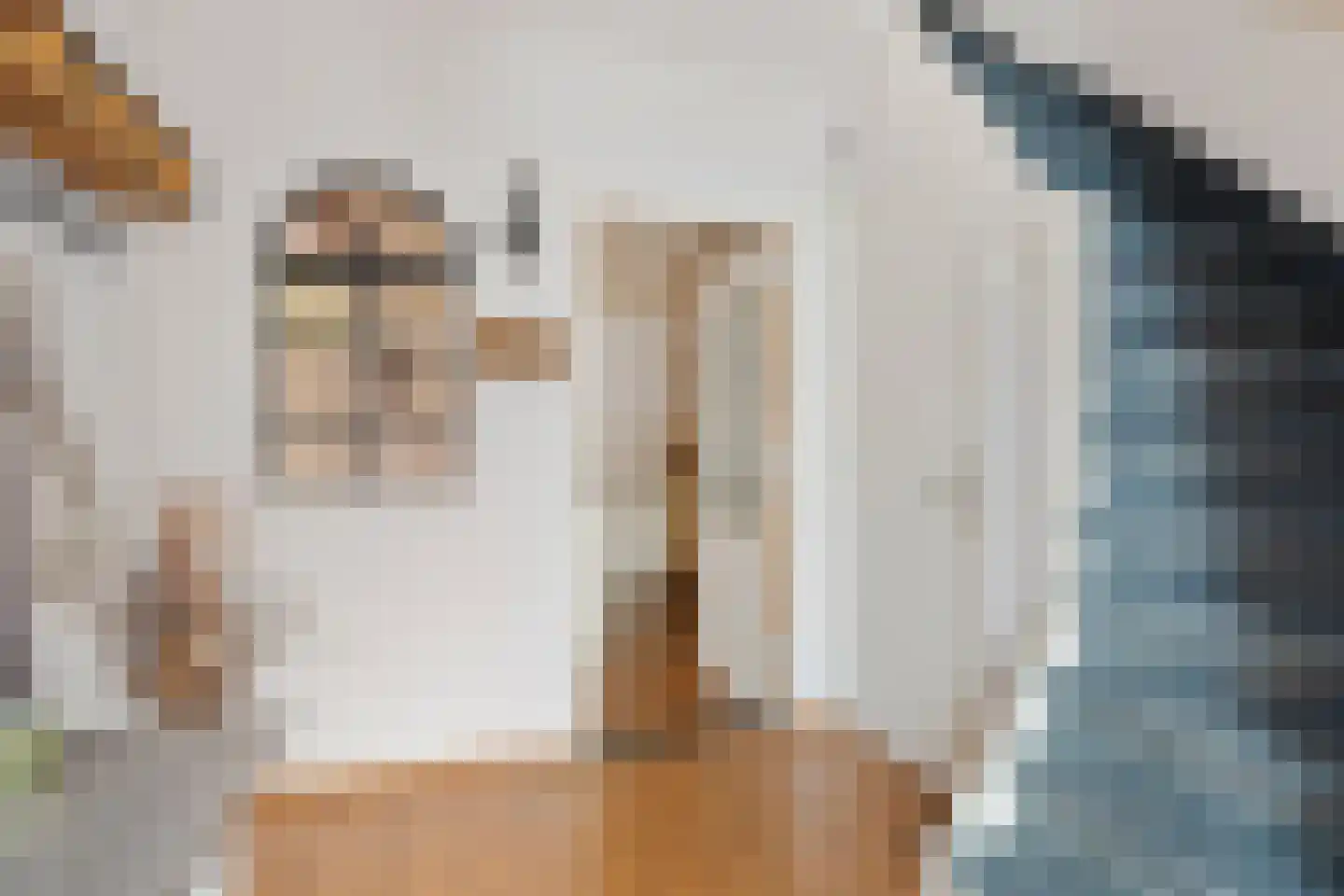 Paltzstraat 17 Ravenstein thumbnail 9