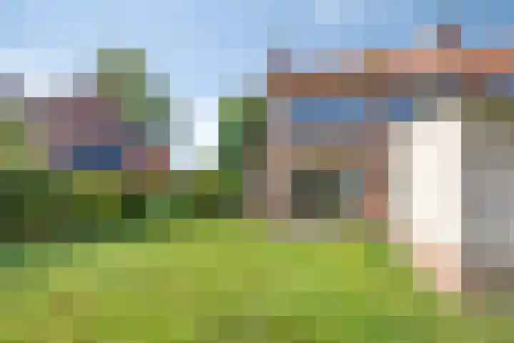 Paltzstraat 27 Ravenstein thumbnail 20