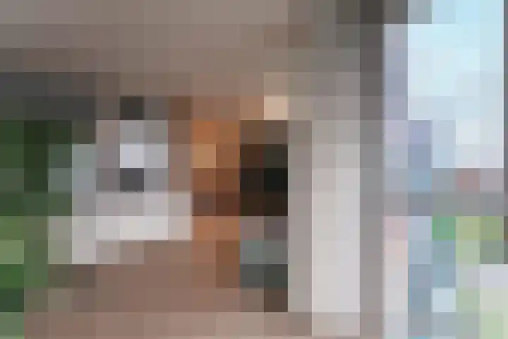 Paludanushof 41 Enkhuizen thumbnail 21
