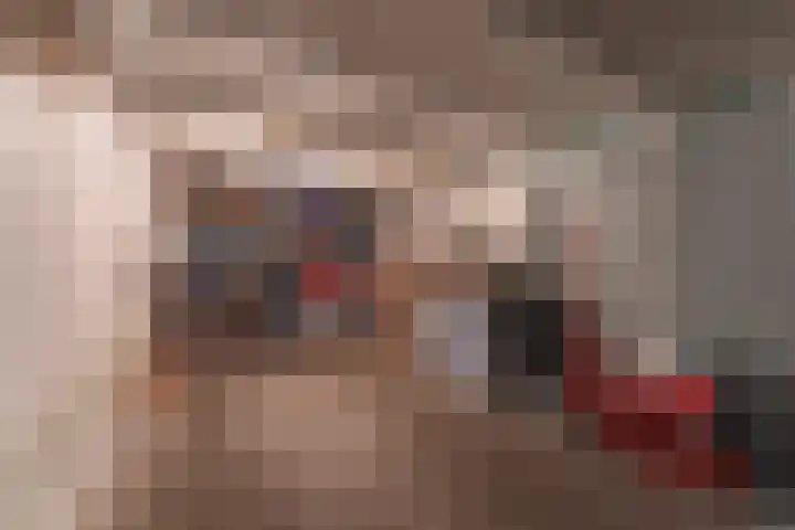 Paludanushof 41 Enkhuizen thumbnail 38