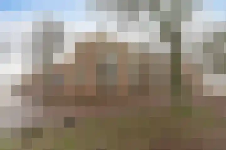 Paludanushof 41 Enkhuizen thumbnail 42