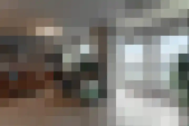 Paludanushof 41 Enkhuizen thumbnail 5