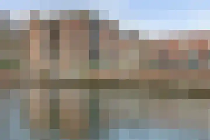 Paludanushof 62 Enkhuizen thumbnail 36