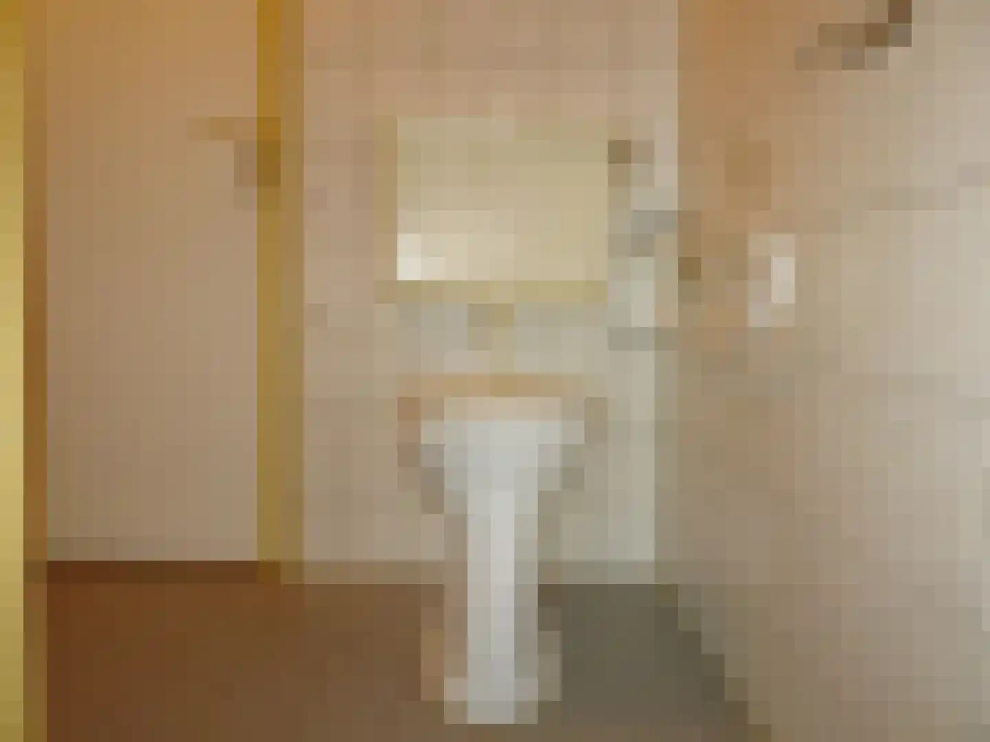 Paludanusweg 33 Wieringerwaard thumbnail 14