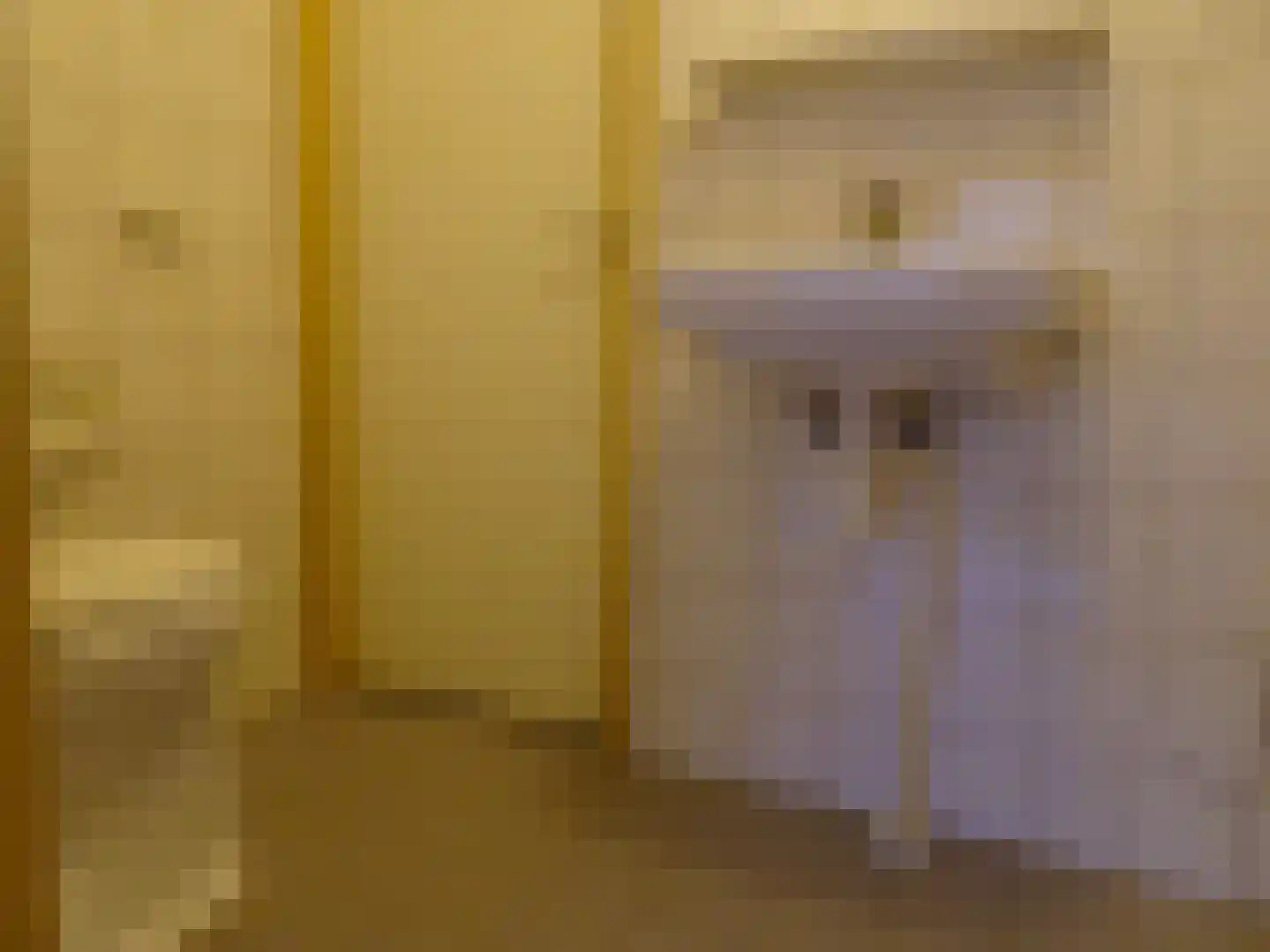 Paludanusweg 33 Wieringerwaard thumbnail 15