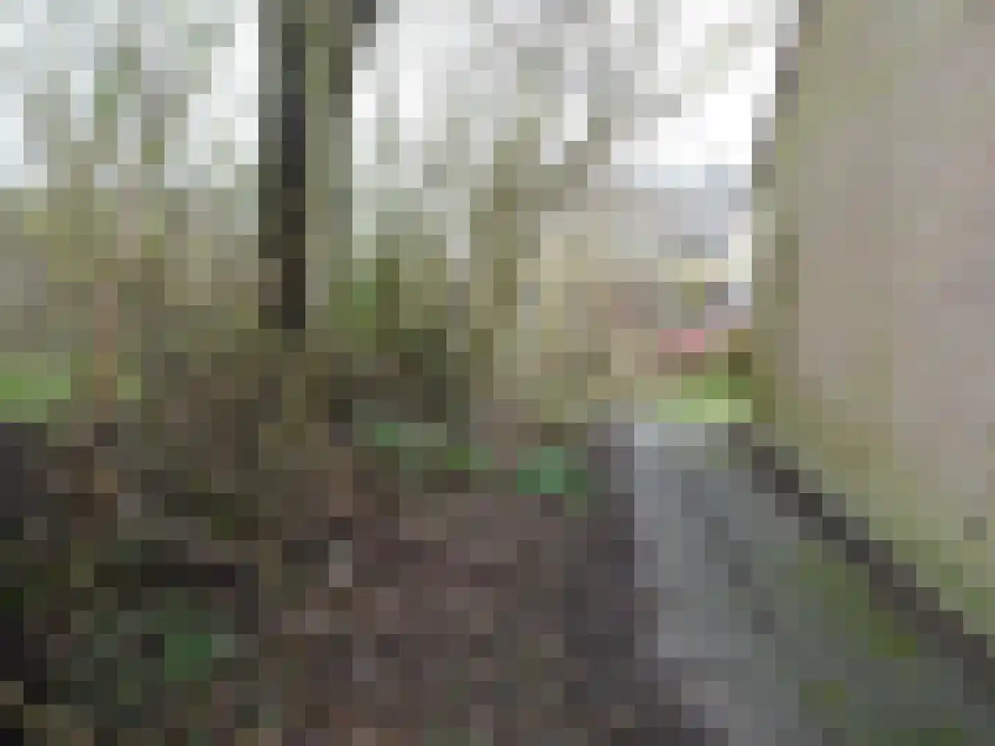 Paludanusweg 33 Wieringerwaard thumbnail 20