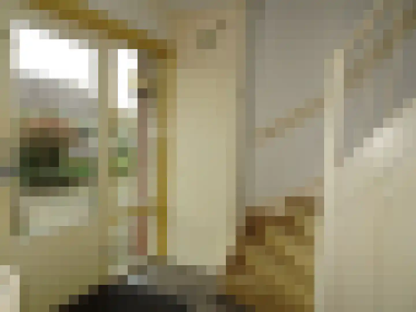 Paludanusweg 33 Wieringerwaard thumbnail 6
