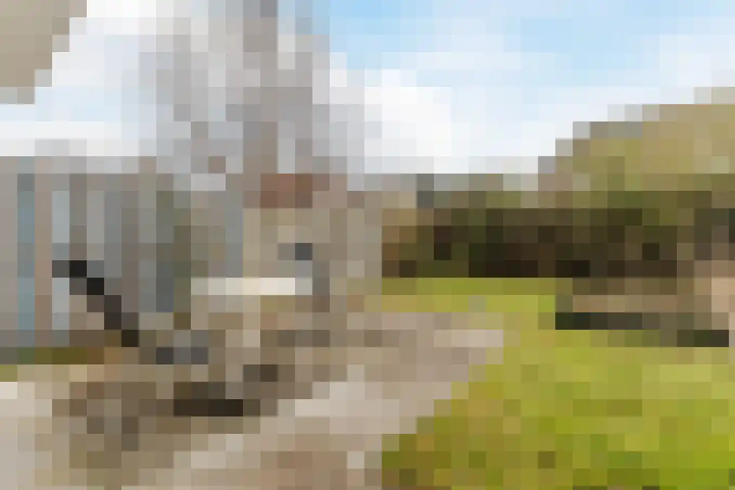 Paludanusweg 7 Wieringerwaard thumbnail 31