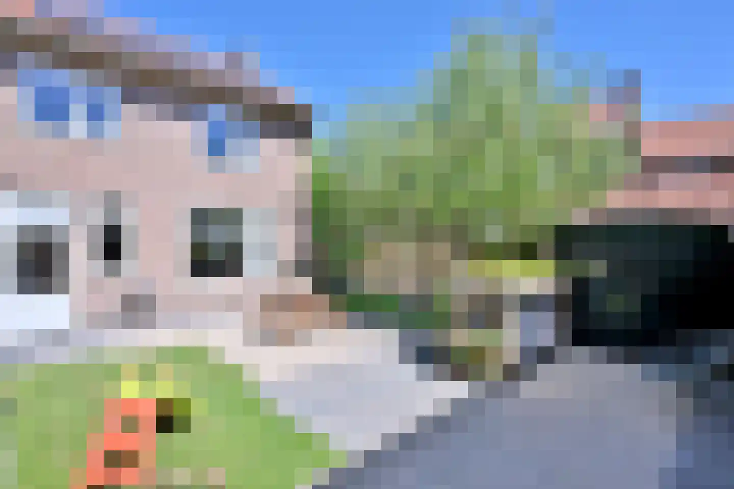 Pamontstraat 42 Deventer thumbnail 40