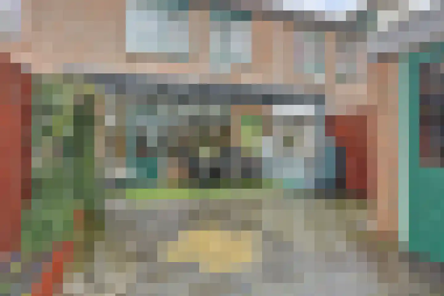 Pampasgras 15 Spijkenisse thumbnail 8