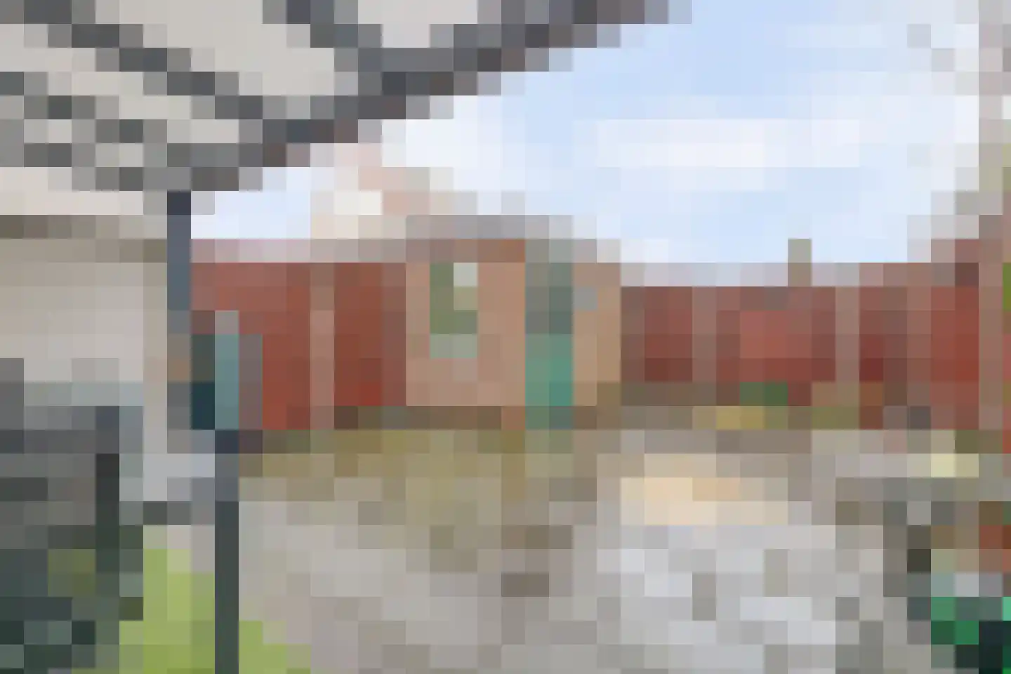 Pampasgras 15 Spijkenisse thumbnail 9