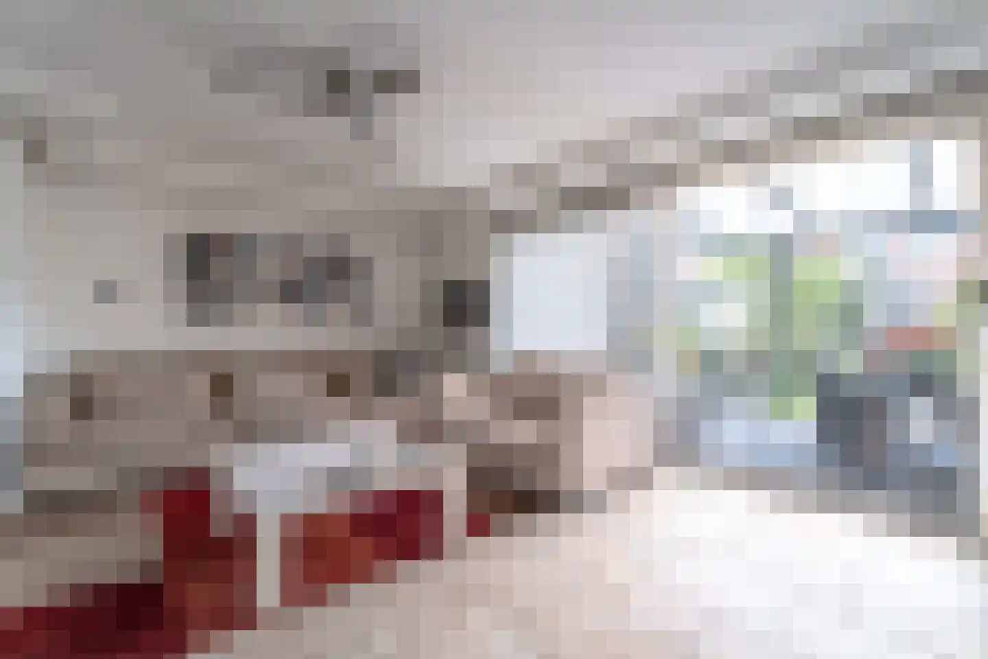 Pampasgras 2 Spijkenisse thumbnail 12