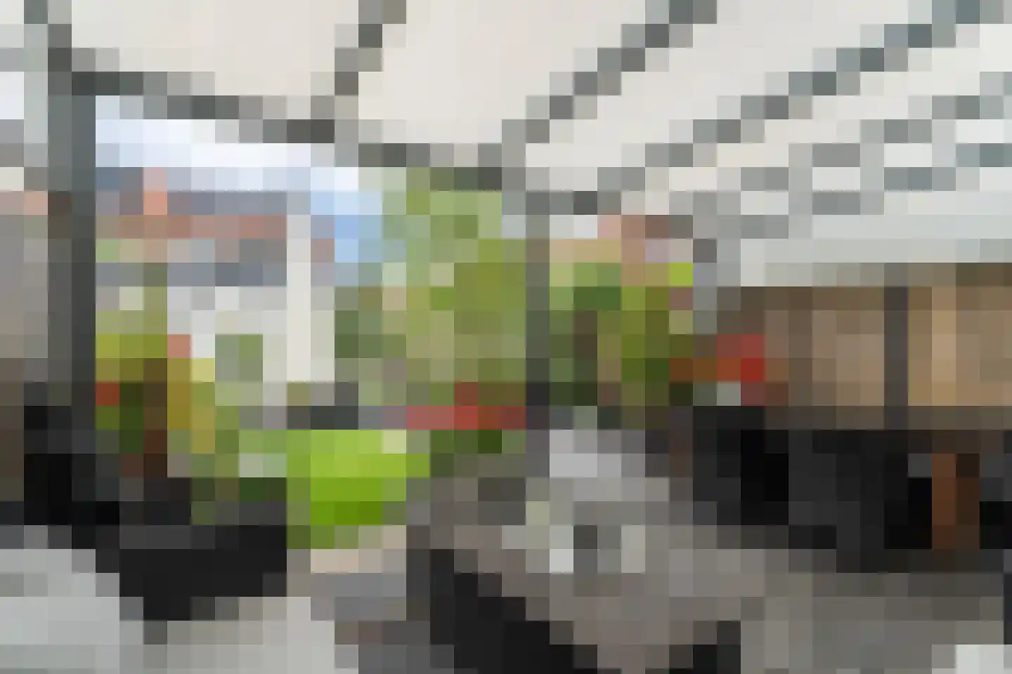 Pampasgras 2 Spijkenisse thumbnail 13